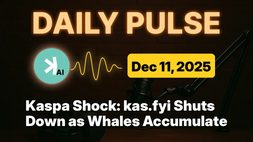 Kaspa Shock: kas.fyi Shuts Down as Whales Accumulate