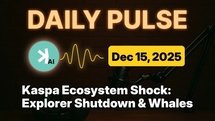 Kaspa Ecosystem Shock: Explorer Shutdown & Whales
