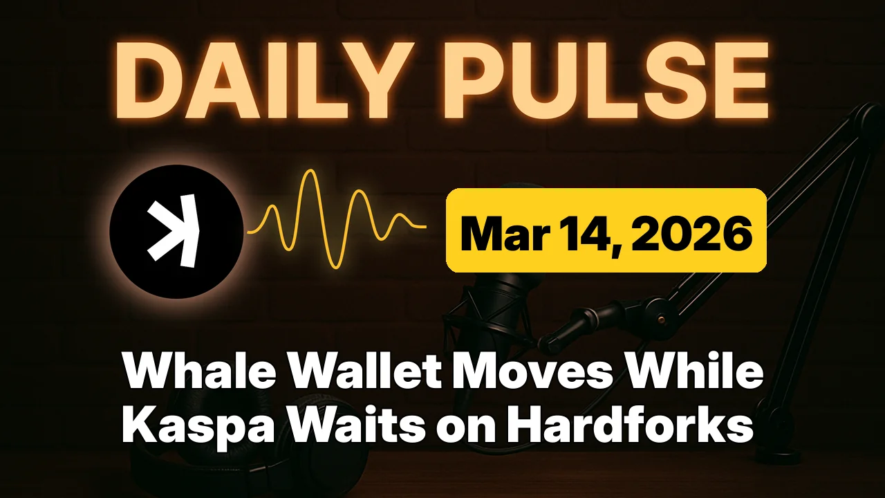 Whale Wallet Moves While Kaspa Waits on Hardforks