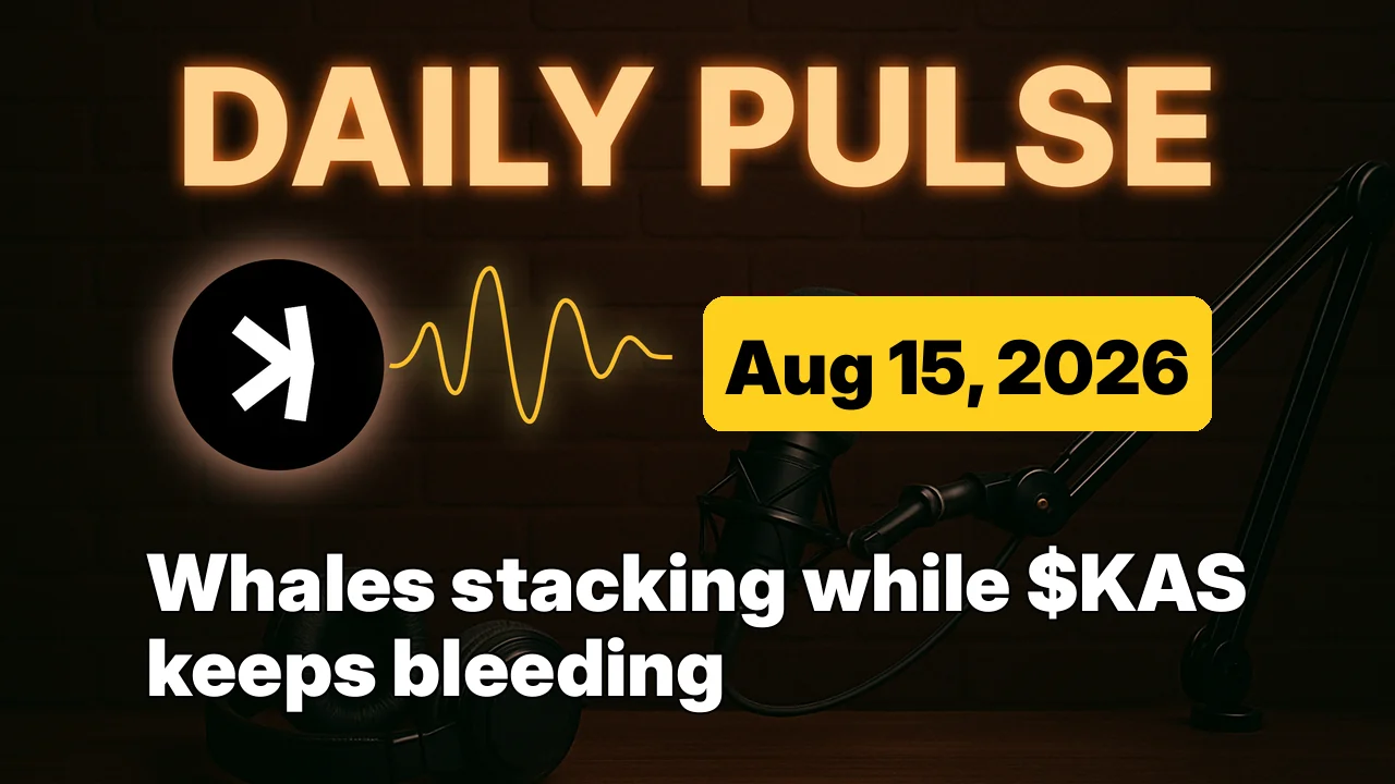 Whales stacking while $KAS keeps bleeding