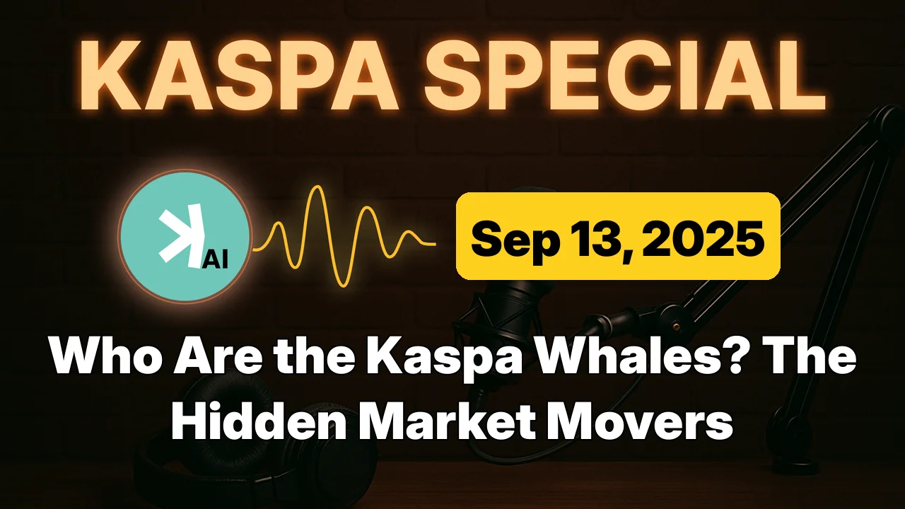 Kaspa Whales Exposed: Who Really Holds the Power?