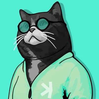 FATCAT