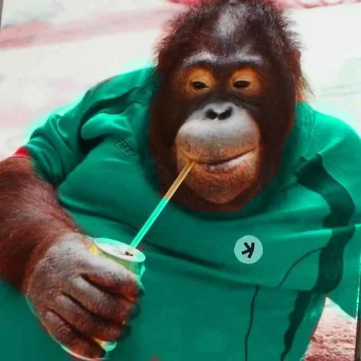 KASAPE