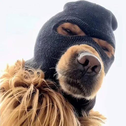 SKIDOG